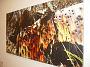 taree-artgallery-wheelsonfire 038